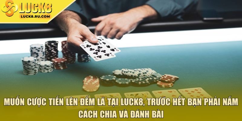 Muốn cược tiến lên đếm lá tại Luck8, trước hết bạn phải nắm cách chia và đánh bài